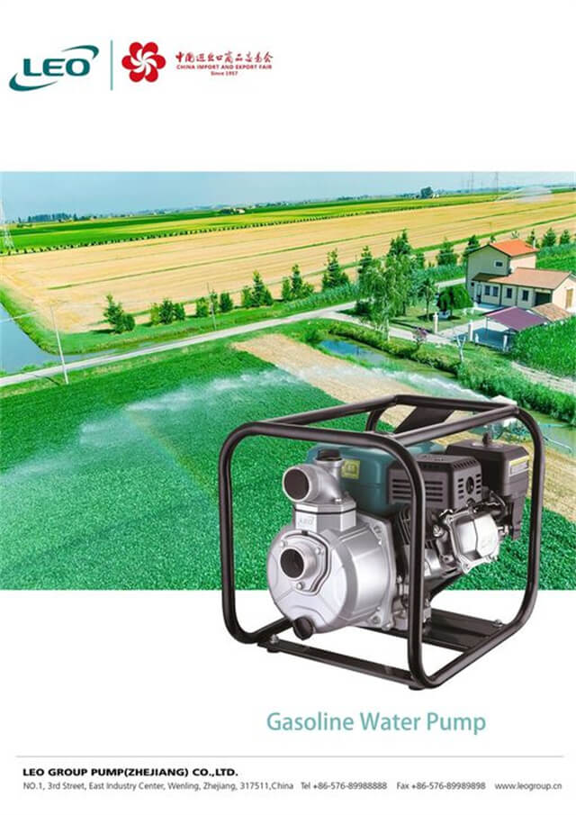 LEO Gasoline Water Pump