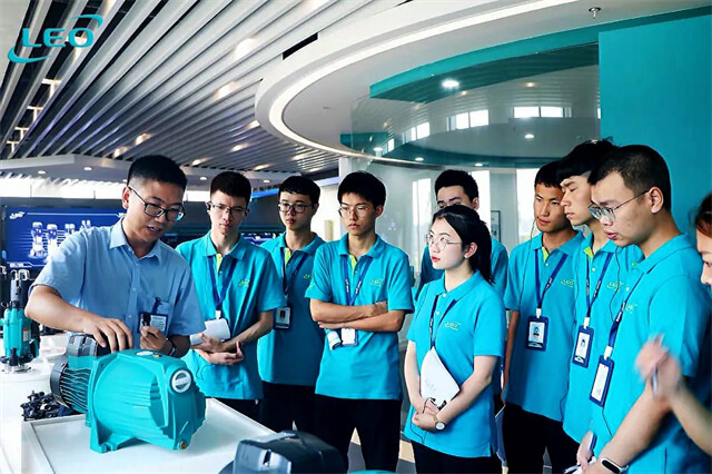 Lion Cubs Training Camp