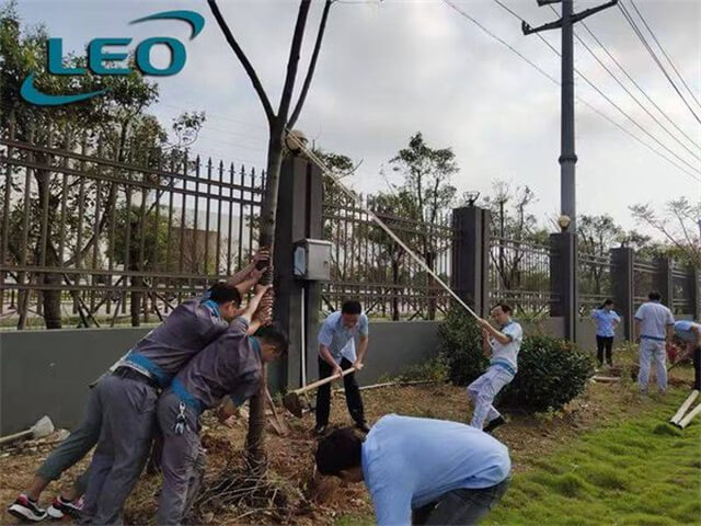 Restore Work After The Super Typhoon Lekima