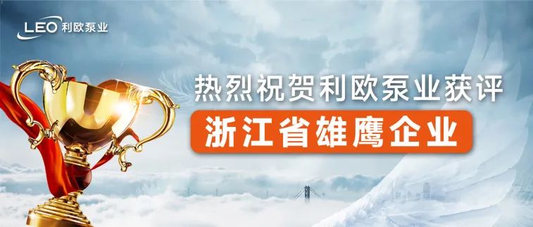 新年启新程，喜迎开门红 | 利欧荣获浙江省雄鹰企业等多项荣誉表彰！