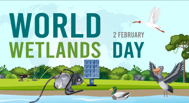 WORLD WETLANDS DAY - LEO PUMP