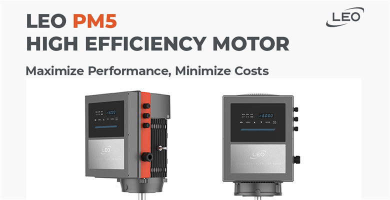 LEO PM5 High-Efficiency Motors