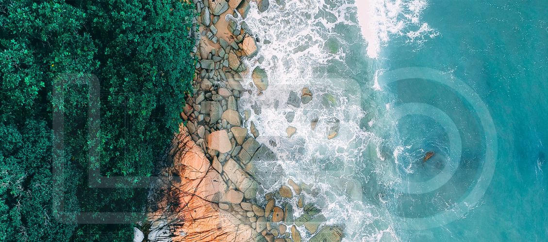 LEO PUMP - ผู้ผลิตปั๊มและระบบ