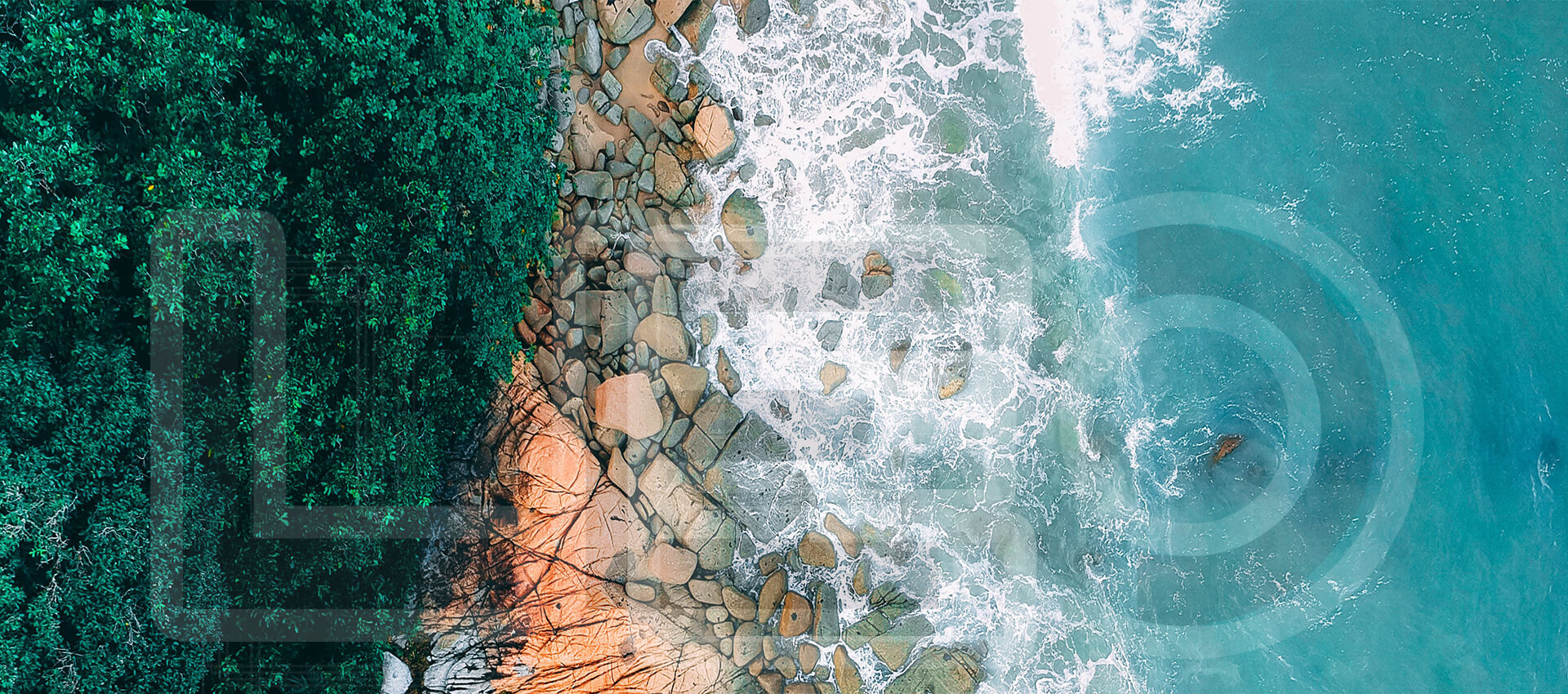 LEO PUMP - ผู้ผลิตปั๊มและระบบ